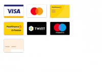 payment_icons-large.png