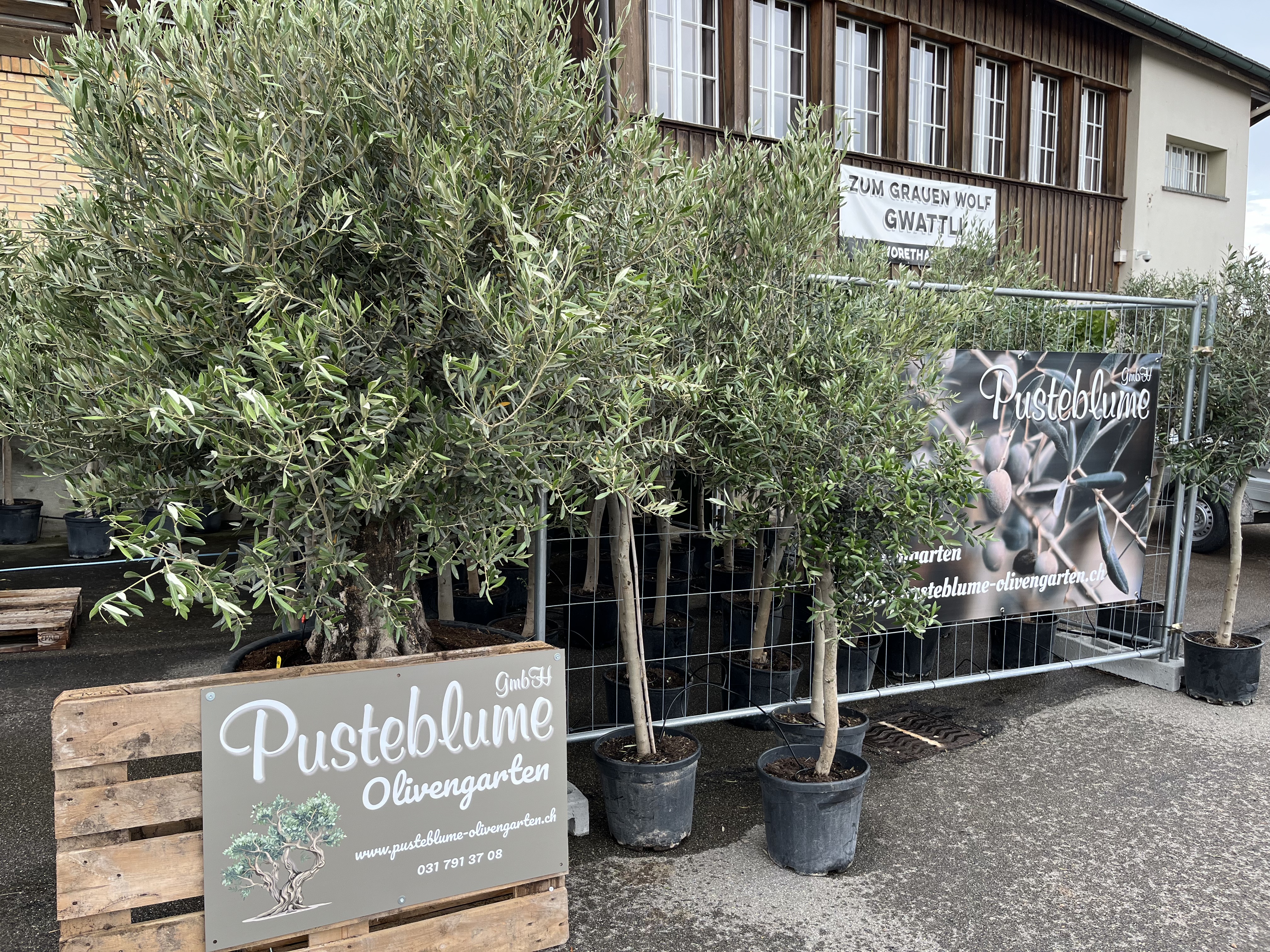 hochzeit  Gang blumen, created by Pusteblume GmbH from, Thun, Steffisburg, Konolfingen